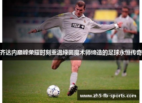 齐达内巅峰荣耀时刻重温绿茵魔术师缔造的足球永恒传奇