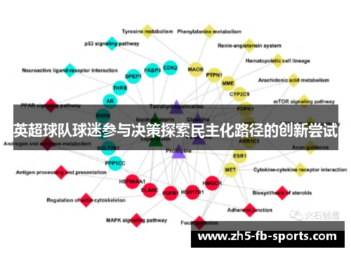 英超球队球迷参与决策探索民主化路径的创新尝试 英超球队球迷参与决策探索民主化路径的创新尝试